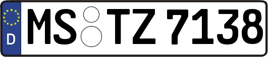 MS-TZ7138
