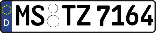 MS-TZ7164
