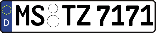 MS-TZ7171