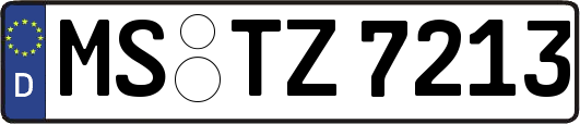 MS-TZ7213