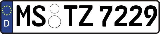 MS-TZ7229