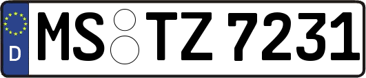 MS-TZ7231