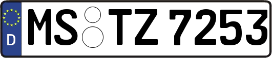 MS-TZ7253