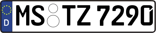 MS-TZ7290