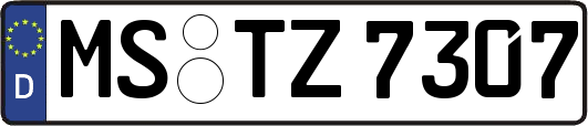 MS-TZ7307