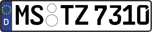 MS-TZ7310