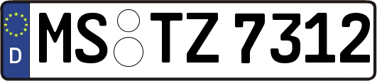 MS-TZ7312
