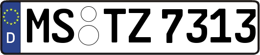 MS-TZ7313