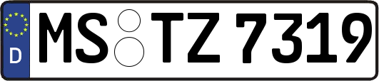 MS-TZ7319