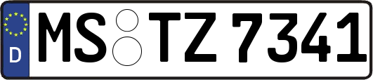 MS-TZ7341