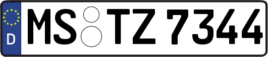MS-TZ7344