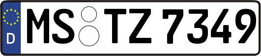 MS-TZ7349