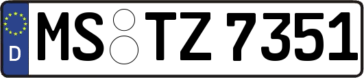 MS-TZ7351