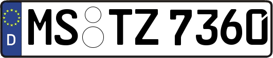 MS-TZ7360