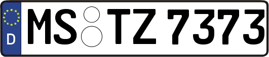 MS-TZ7373
