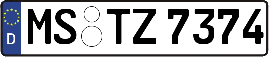MS-TZ7374