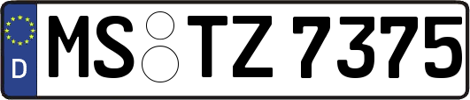 MS-TZ7375