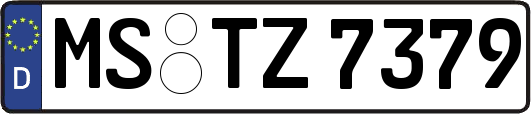 MS-TZ7379