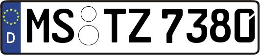 MS-TZ7380