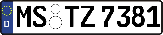 MS-TZ7381