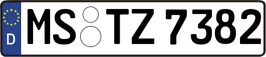 MS-TZ7382