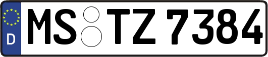 MS-TZ7384