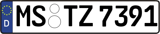 MS-TZ7391