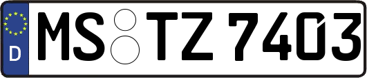 MS-TZ7403