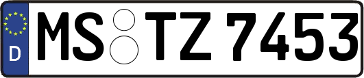 MS-TZ7453