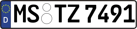 MS-TZ7491