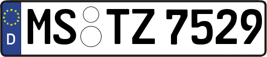 MS-TZ7529
