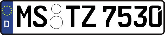 MS-TZ7530