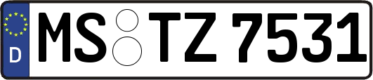 MS-TZ7531
