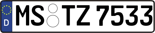 MS-TZ7533