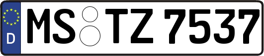 MS-TZ7537