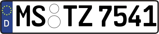 MS-TZ7541
