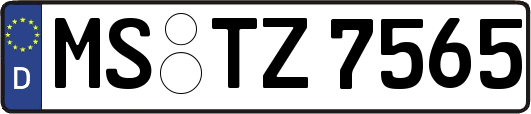 MS-TZ7565