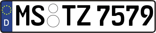 MS-TZ7579