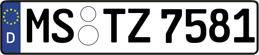 MS-TZ7581