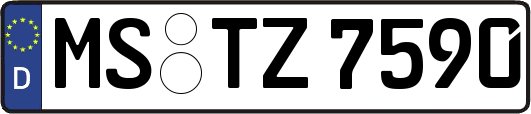MS-TZ7590