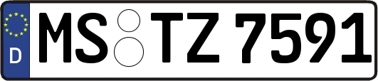 MS-TZ7591