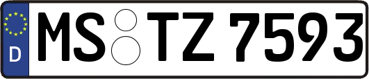 MS-TZ7593