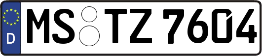 MS-TZ7604