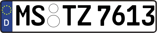 MS-TZ7613