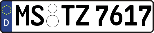 MS-TZ7617