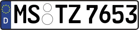 MS-TZ7653