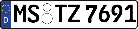 MS-TZ7691