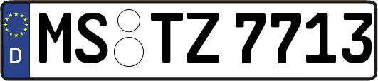 MS-TZ7713