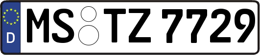 MS-TZ7729