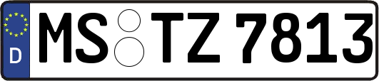 MS-TZ7813